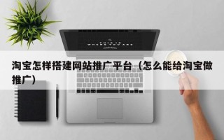 沧县淘宝怎样搭建网站推广平台（怎么能给淘宝做推广）